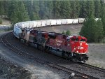 CP 7059